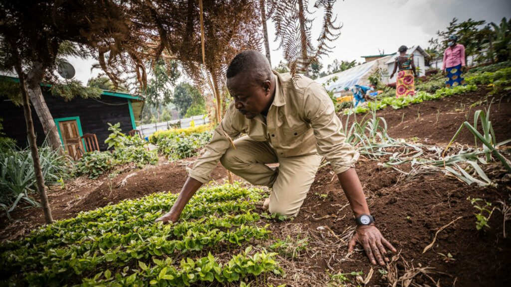 A man crouches in soil nurturing plants