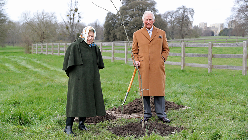 Prince Charles and the Duchess of Cambridge planting a young tree together in a garden setting