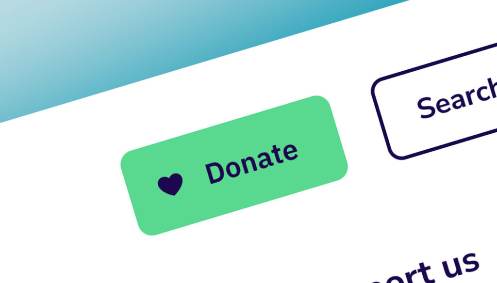 Image focussing on a website donate button