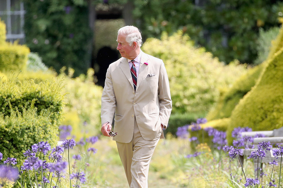 King Charles walking in the garden
